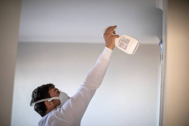 Best Certified Mold Removal  in Oak Forest, IL