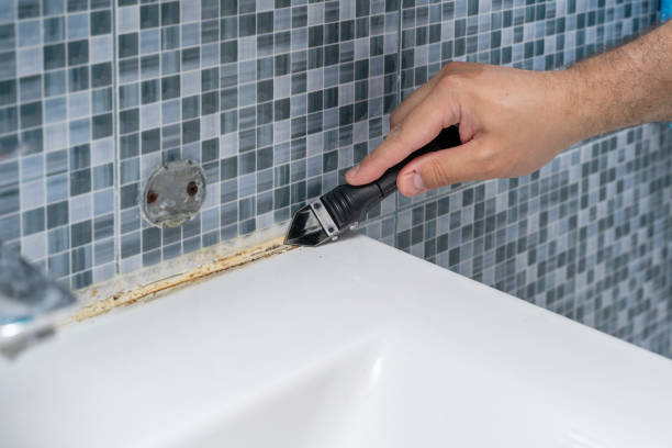 Best Local Mold Removal Service  in Oak Forest, IL