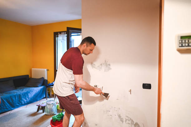 Best Mold Remediation Experts  in Oak Forest, IL